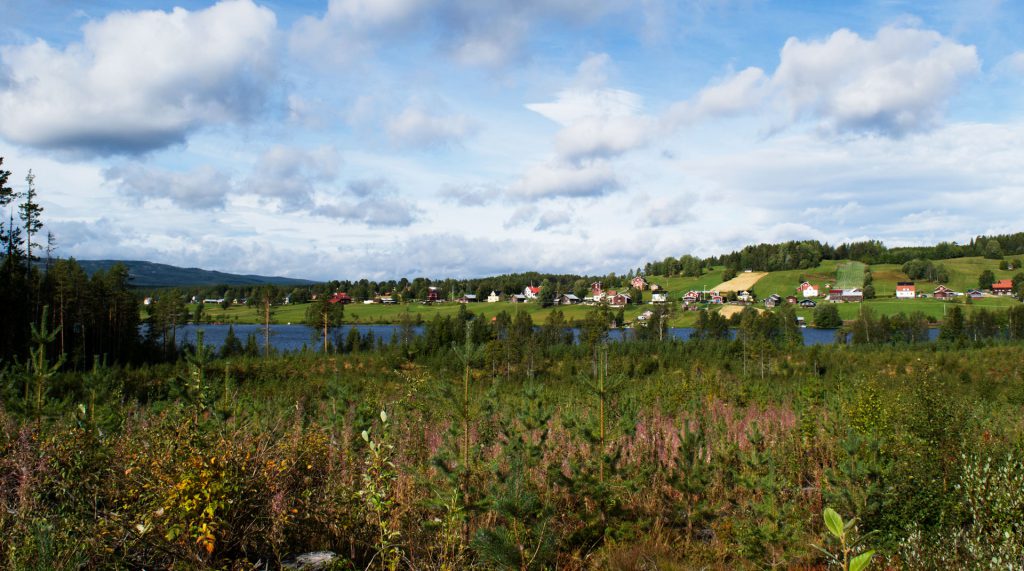 Bakgrundsbild Skålan sommar