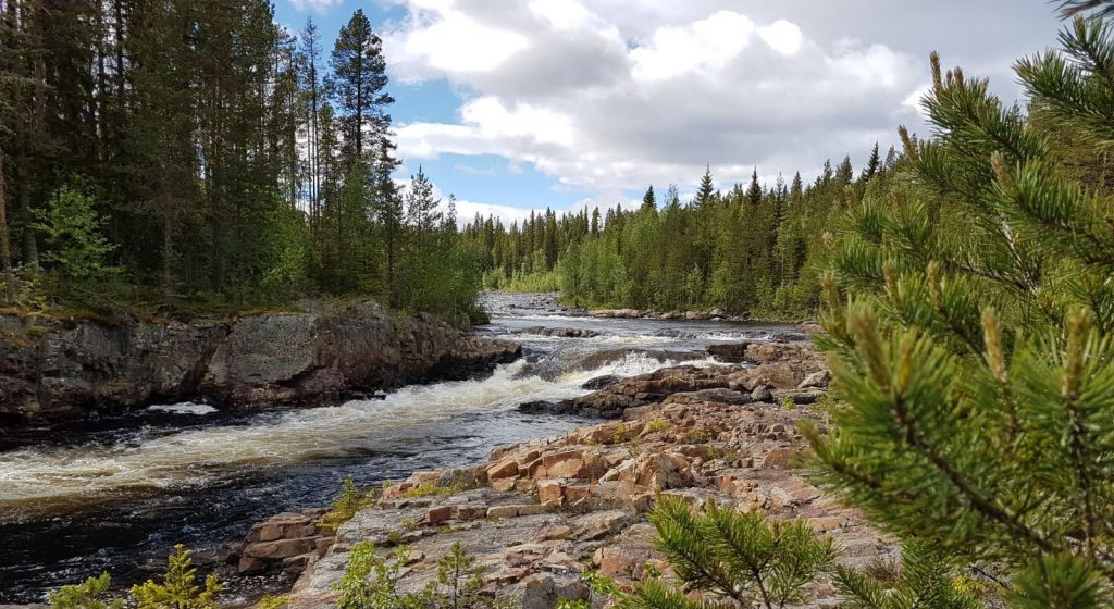 Trångforsen