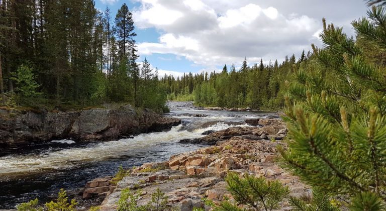 Trångforsen